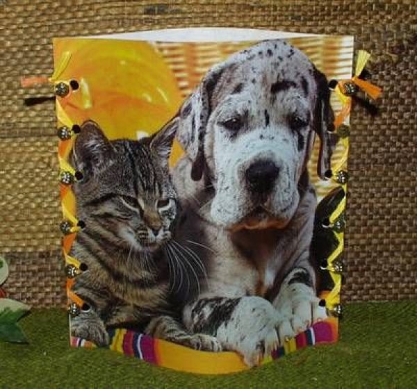 Lantern made of laminated motif for tealight – Hund / Katze