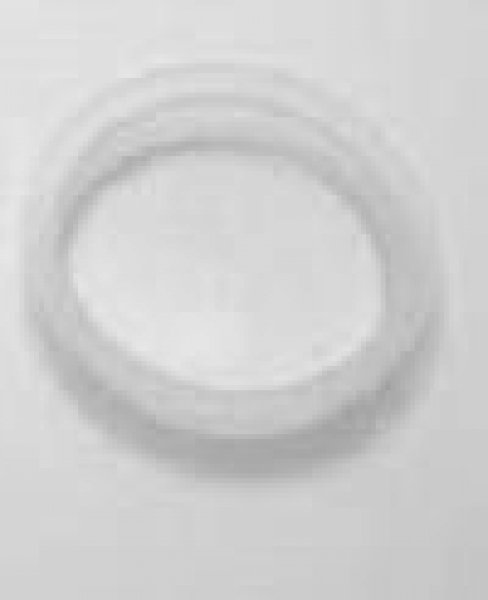 Stopfen aus PE – 12,5 mm Durchmesser  - 7 mm hoch – R1/4 -12 Stopfen aus PE – 12,5 mm Durchmesser  - 7 mm hoch – R1/4 -12
