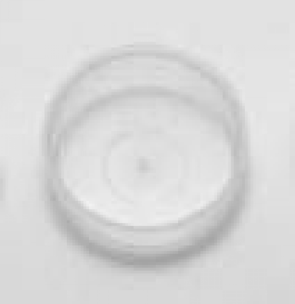 Stopfen aus PE – 17,8 mm Durchmesser – 7 mm hoch – T9 – Restbestand Stopfen aus PE – 17,8 mm Durchmesser – 7 mm hoch – T9 – Restbestand