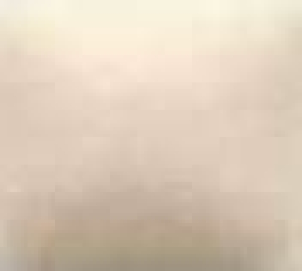 NT-018 – Light Almond – Kaltmalfarbe von DUNCAN – 29,5 ml – Altbestand