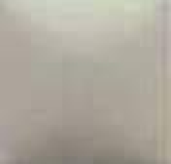 NT-096 – True Taupe – Kaltmalfarbe von DUNCAN – 29,5 ml – Altbestand