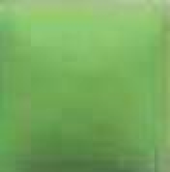 NT-031 – Spring Green – Kaltmalfarbe von DUNCAN – 29,5 ml – Altbestand