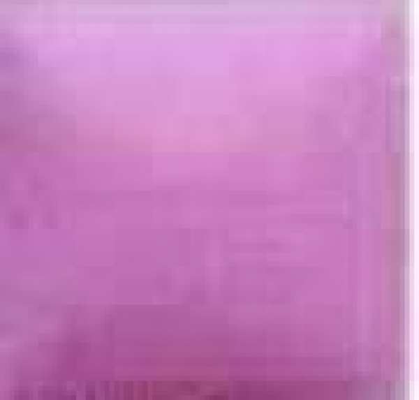 NT-073 – Pink Perfection – Kaltmalfarbe von DUNCAN – 29,5 ml – Altbestand