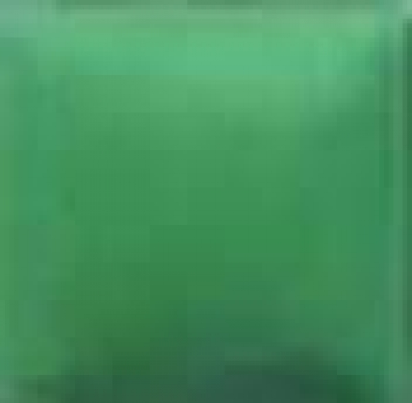 NT-095 – Leaf Green – Kaltmalfarbe von DUNCAN – 29,5 ml – Altbestand