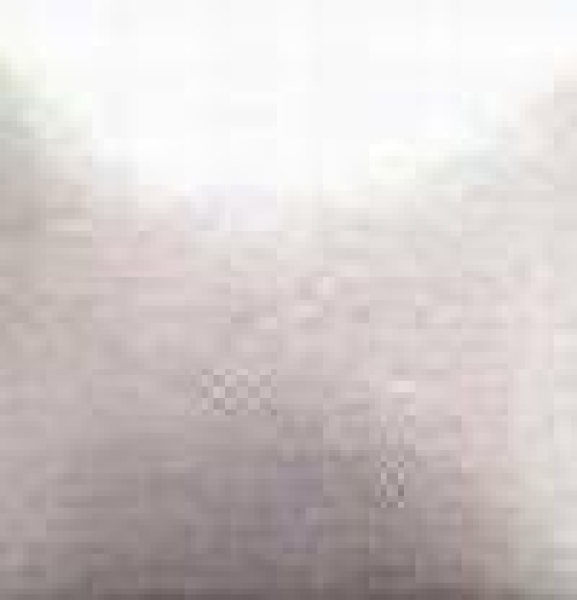 Liquid Pearl – White Mist – PL-175 – Kaltmalfarbe von DUNCAN - 29,5 ml - DISC