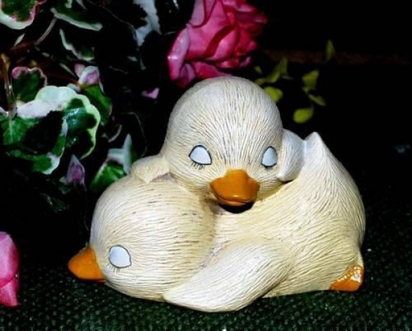 Entenküken – Doppel –  Schrühware