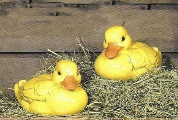 Schwimmende Enten – 2er – Set – Schrühware