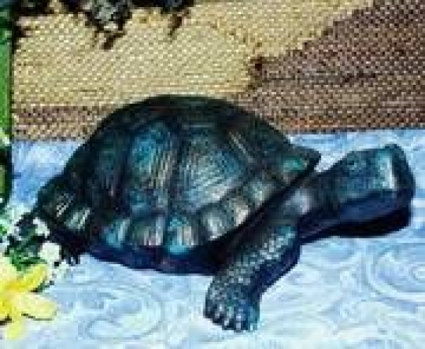 SCIOTO-Gießform - neu – Schildkröte mittel - 23 cm lang - USA