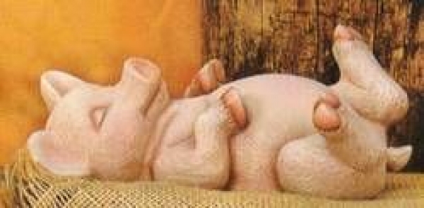 Schwein auf Rücken – 18 cm lang - Schrühware