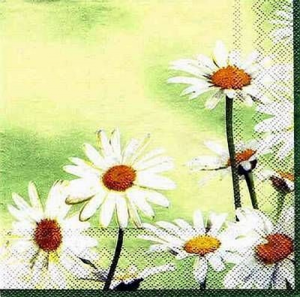 s0480 - Daisies - green – Servietten – Packung - 20 Stück