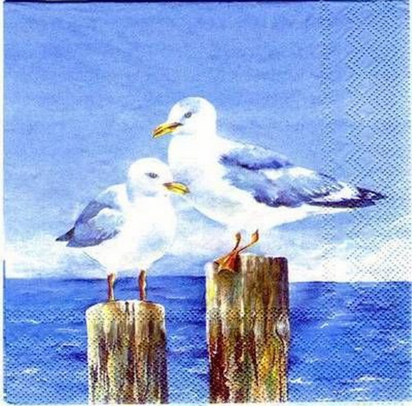 s0540 - Seagulls - Serviette 33 x 33 cm - Restbestand - Stückpreis