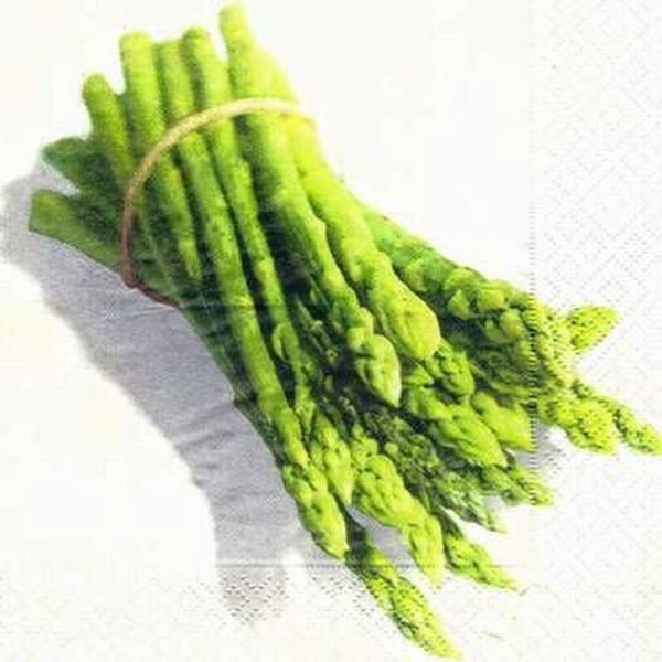 s0671 - Asparagus - Serviette 33 x 33 cm - Restbestand - Stückpreis