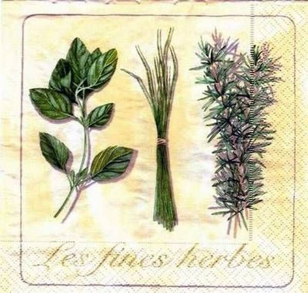 s1420 - Les fines herbes - Servietten - Packung - 20 Stück