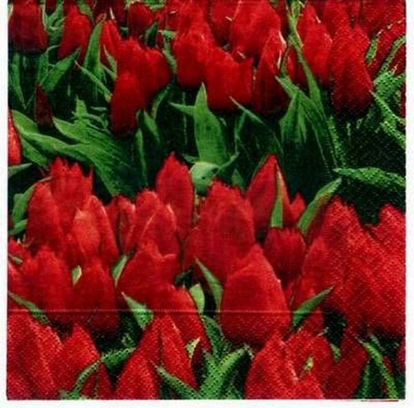 s1533 - Tulpenfeld - red  - Napkins - Package - 20 pcs.