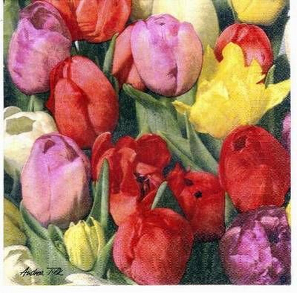 s1595 - Tulip Field - Servietten - Packung - 20 Stück