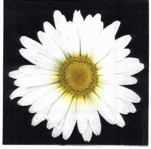s1646 - White Daisy - black - Napkins - Package - 20 pcs..