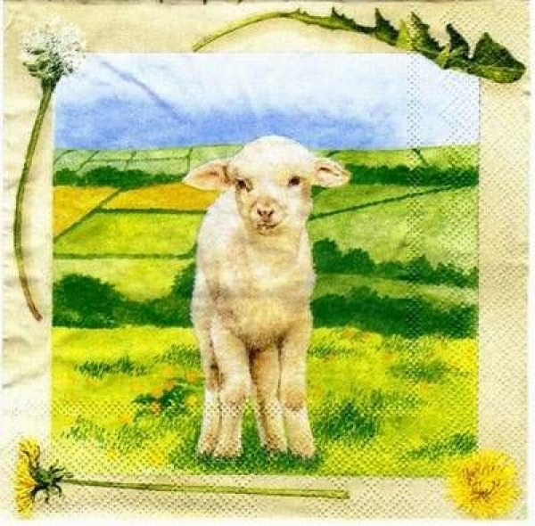s1689 - Agnellino - Servietten - Packung - 20 Stück