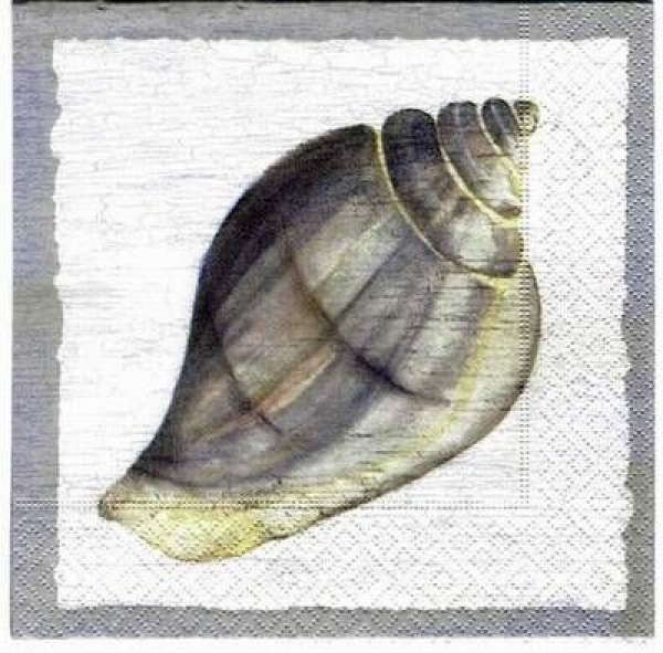 s1800 - Shell - Taubenblau/grau - Servietten - Packung - 20 Stück