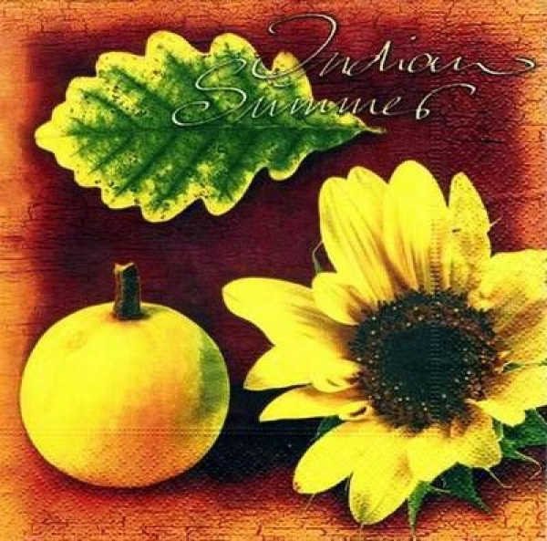 s1881 - Indian summer - Servietten - Packung - 20 Stück