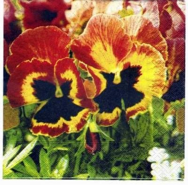 s2707 - springtime - Servietten - Packung - 20 Stück