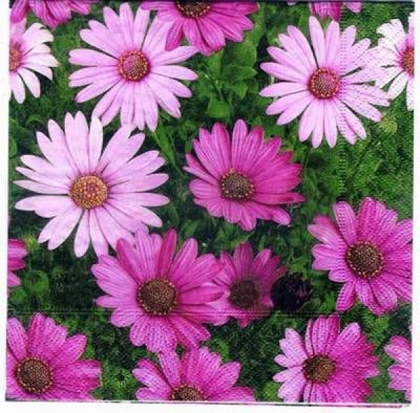 s2911 – Blumen – Servietten – Packung – 20 Stück