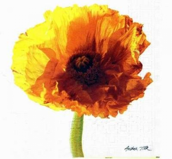 s2913 - Single Poppy - Napkins - Package - 20 pcs.