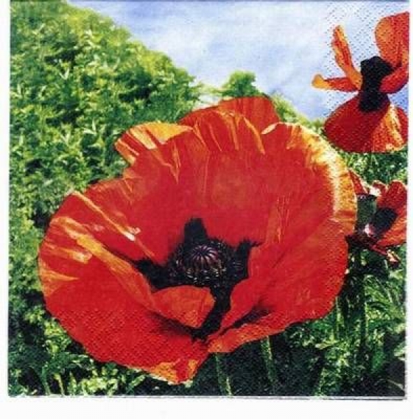 s2915 – Klatschmohn – Serviette von HOME-FASHION - Restbestand - Stückpreis