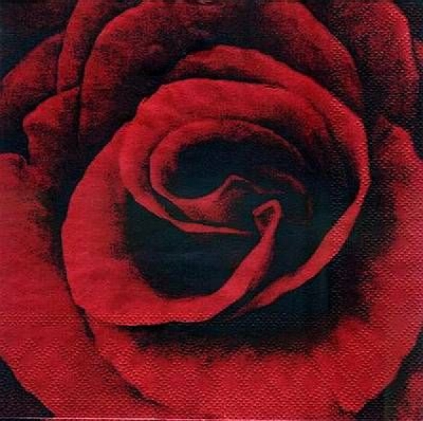s2925 – Rote Rosen -  Servietten – Packung – 20 Stück