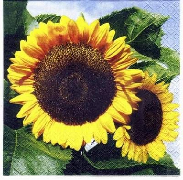 s2954 - Natural Sunflower - Servietten - Packung - 20 Stück