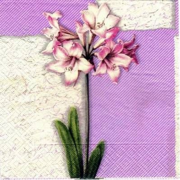 s2995 - Romantic - Servietten - Packung - 20 Stück