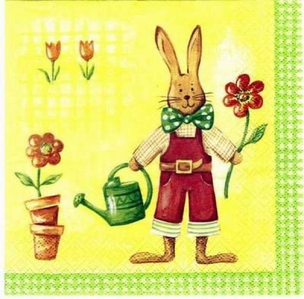 s3087 – Osterhase – Servietten – Packung – 20 Stück