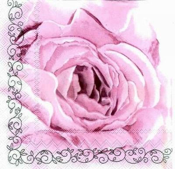 s3090 - Rose - rosa - Napkins - Package - 20 pcs.
