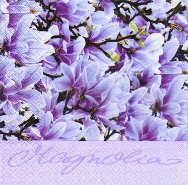 s3274 - Magnolie - lilac - Servietten - Packung - 20 Stück