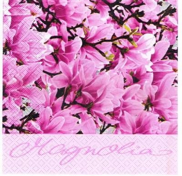 s3275 - Magnolie - pink - Servietten - Packung - 20 Stück
