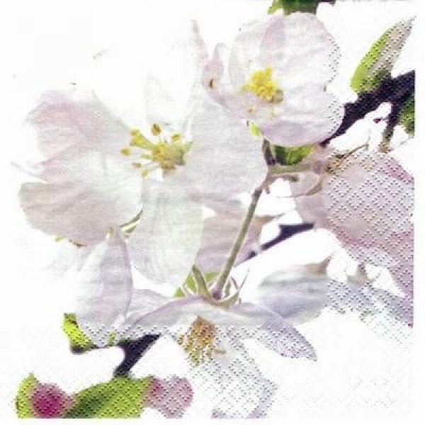 s3311 - Malva - Servietten - Packung - 20 Stück