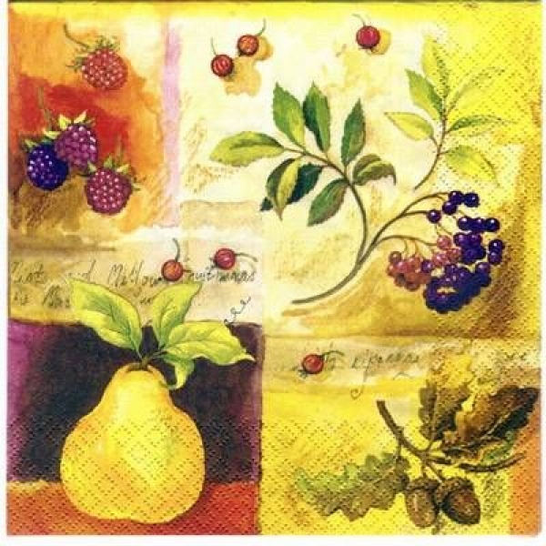 s3338 - Harvest - Servietten - Packung - 20 Stück