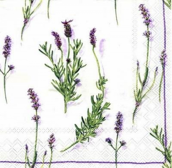 s3433 - Lavender - cream - Servietten - Packung - 20 Stück