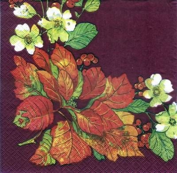 s3717 - Poinsettia Border - burgundy - Servietten - Packung - 20 Stück