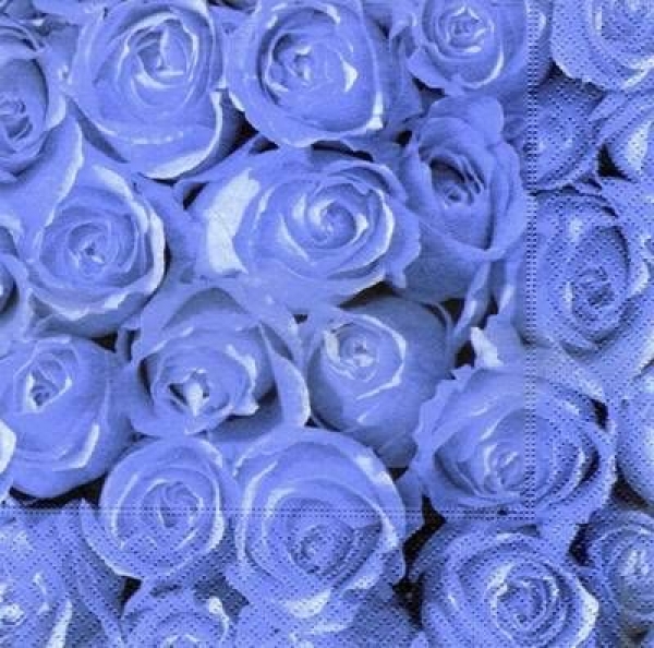 s4022 – Roses – blue – Servietten – Packung – 20 Stück