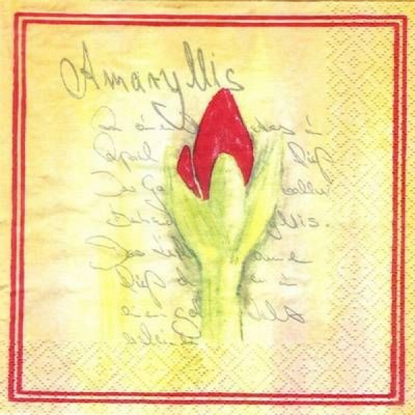 s4035 - Amaryllis – rot – Servietten – Packung – 20 Stück
