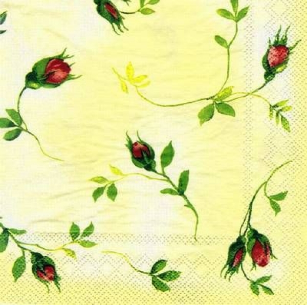 s4132 - Rosebud - cream - Servietten - Packung - 20 Stück