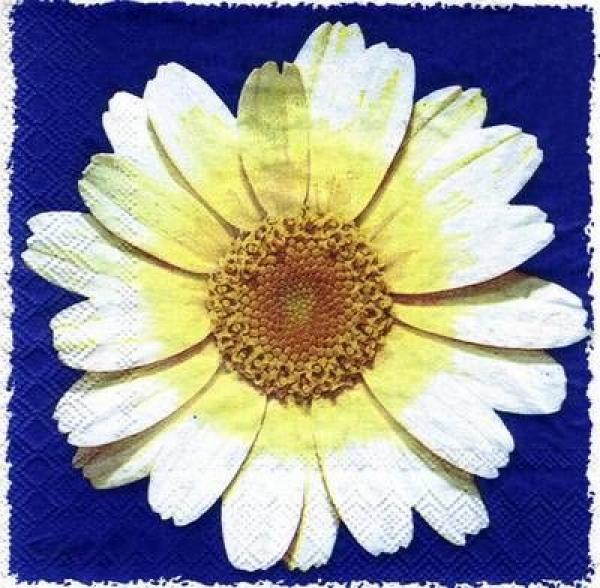 s4483 - Sweet Daisy D. BL - Servietten - Packung - 20 Stück