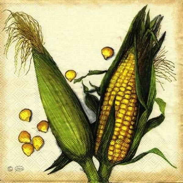 s4496 -  Corn - Servietten - Packung - 20 Stück