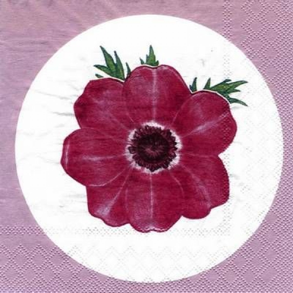 s4559 - Anemone - MOLCA - Servietten - Packung - 20 Stück