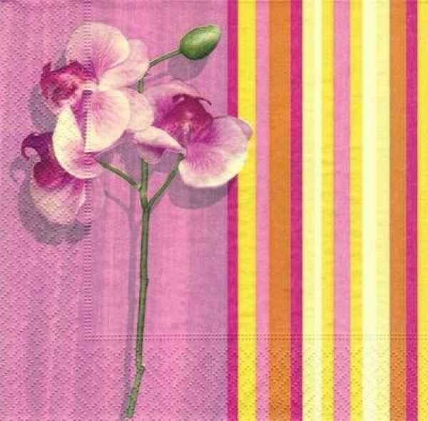 s4720 - Orchidee - rosa - Servietten - Packung - 20 Stück