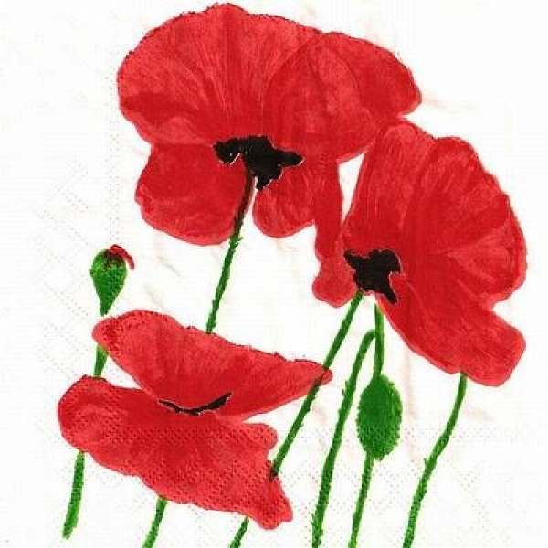 s4x1539 - Klatschmohn - Servietten - Packung - 20 Stück