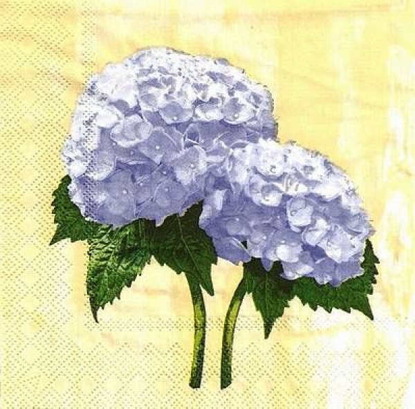 s9z10396 - Hortensie - lila - Napkins - Package - 20 pcs..