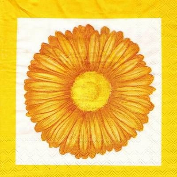s4xx2297 - Gerbera gelb - MOLCA - Servietten - Packung - 20 Stück