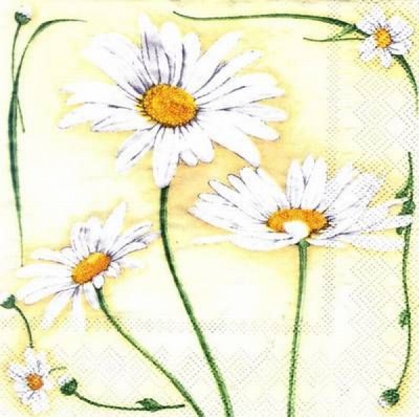 s5298 - Lovely Daisies - Servietten - Packung - 20 Stück