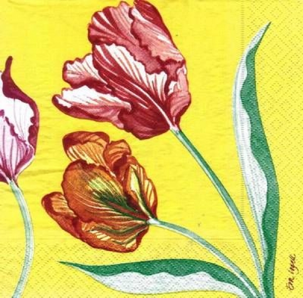 s5321- Tulpe - Servietten - Packung - 15 Stück